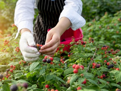 ‘공유 텃밭’ 프로젝트로 지역사회와 연대! 이미지